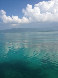 IMG_5178