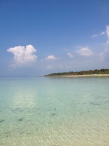 IMG_5209