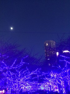 写真 2014-12-02 17 00 20
