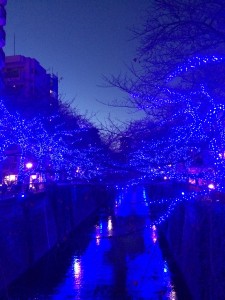 写真 2014-12-02 17 00 46