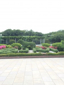 写真 2015-06-02 16 26 45