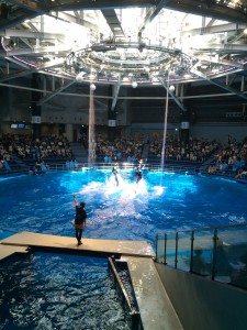 写真 2015-07-14 13 34 13